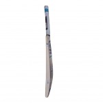 GM Six6 808 English Willow Cricket Bat